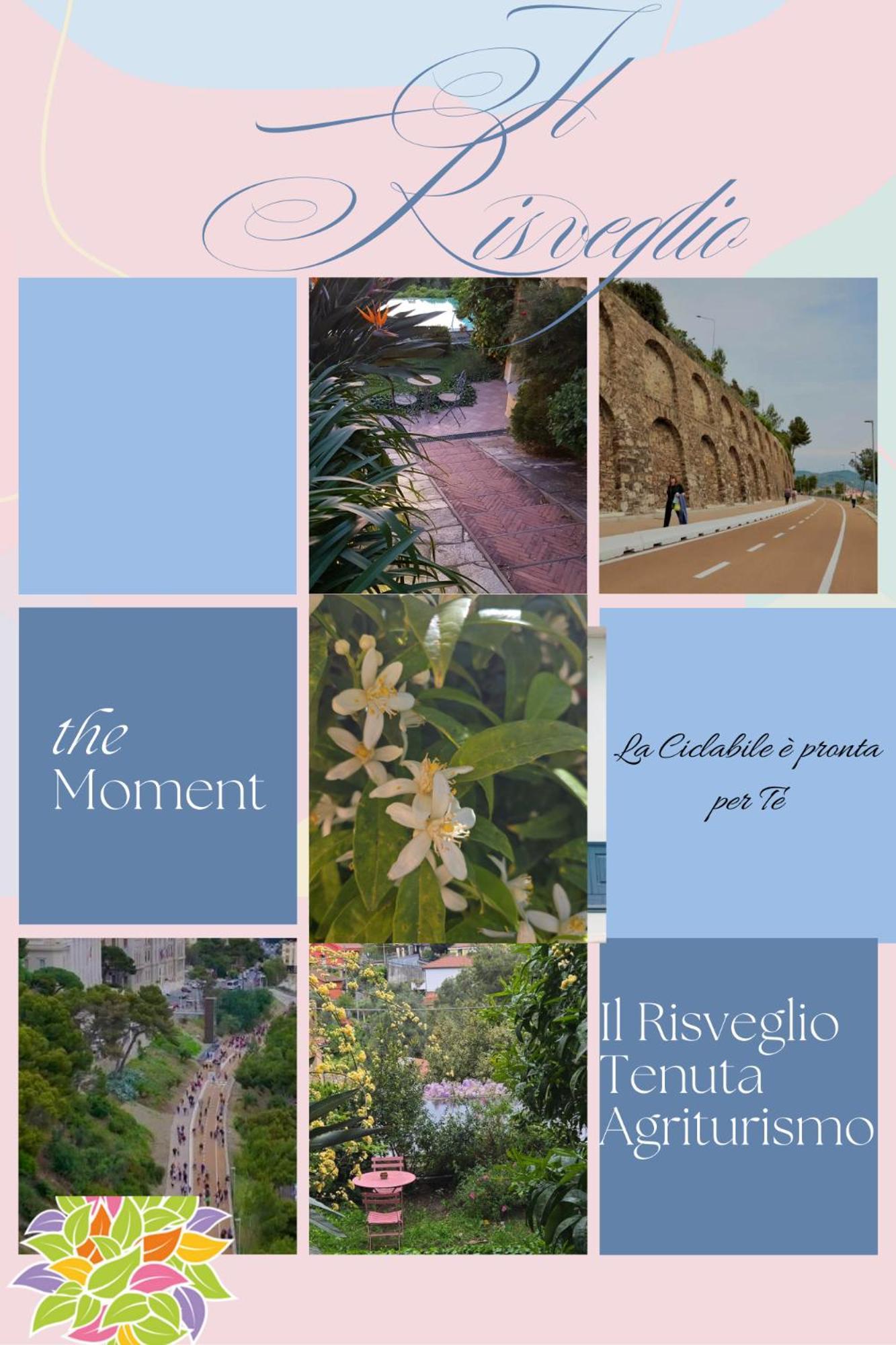 Tenuta Il Risveglio Imperia