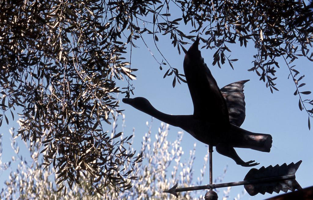Tenuta Il Risveglio Farm stay Imperia