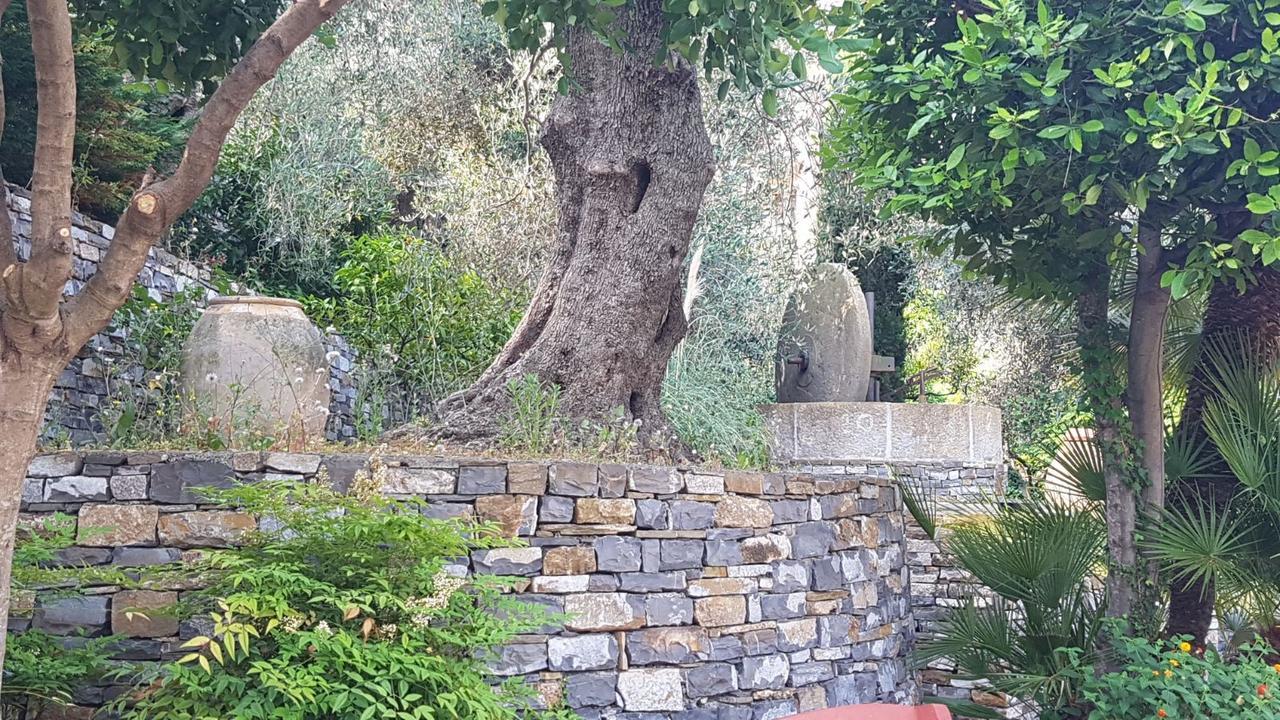 Tenuta Il Risveglio Farm stay *