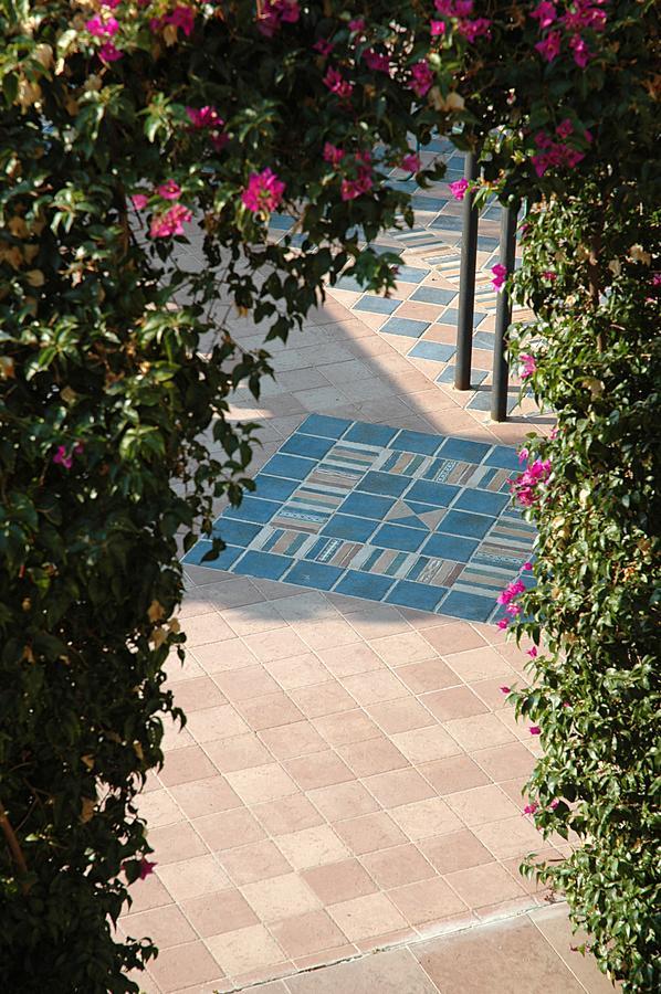 Agroturismo Tenuta Il Risveglio Imperia