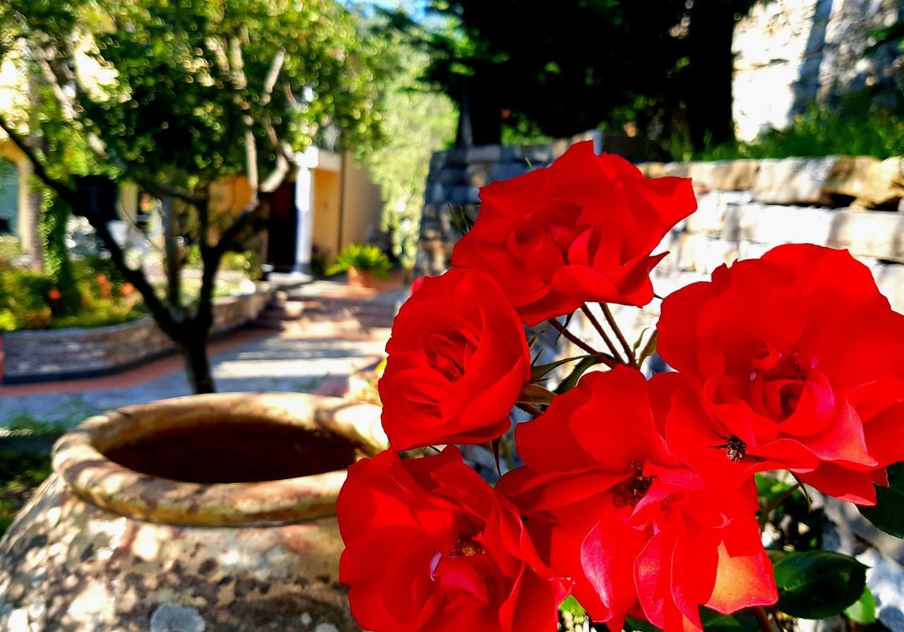 Tenuta Il Risveglio * Imperia