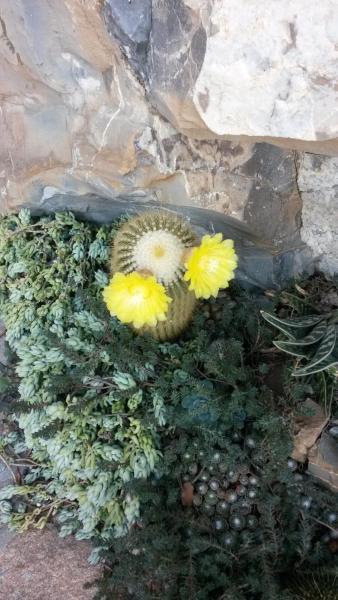 Bauernhof Tenuta Il Risveglio *